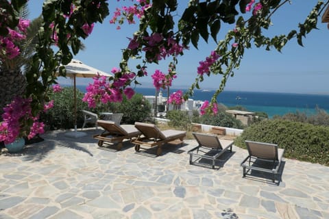 Patio, Summer, Garden