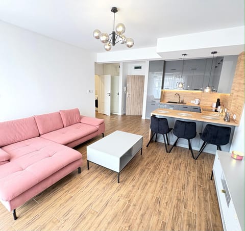 Kitchen or kitchenette, Living room, Seating area, Dining area, stove