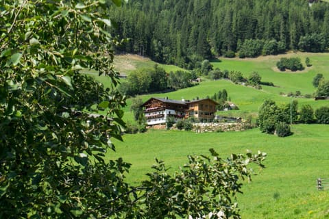 Property building, Bird's eye view