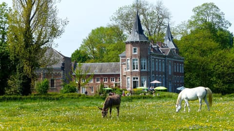 Kasteel Nieuwenhoven Apartment in Flanders