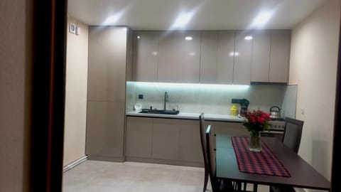 Kitchen or kitchenette, kitchen, kitchen