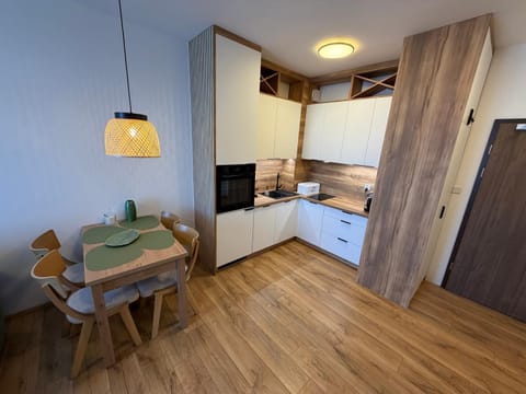 Kitchen or kitchenette, Dining area, oven, stove