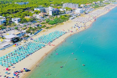 Nearby landmark, Day, Natural landscape, Bird's eye view, Beach, City view, Sea view, sunbed