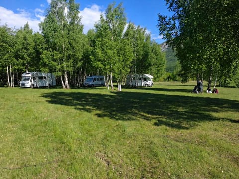 Natural landscape, group of guests