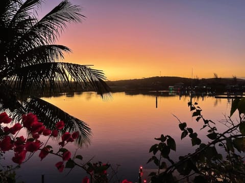 Natural landscape, Lake view, Sunset