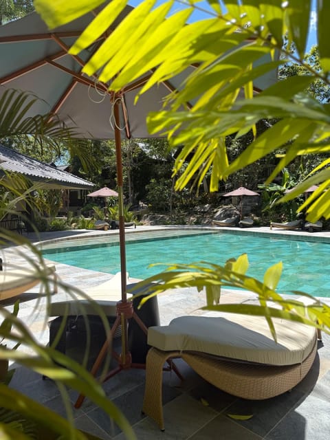 Day, Natural landscape, Garden, Garden view, Pool view, Swimming pool, sunbed