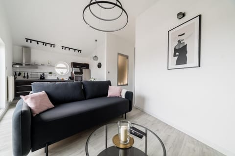 Kitchen or kitchenette, Living room, Seating area, Dining area, stove