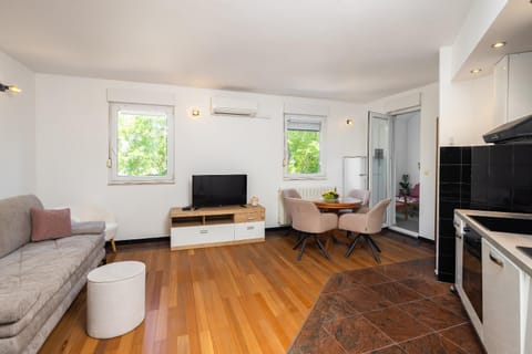 TV and multimedia, Kitchen or kitchenette, Living room, Seating area, air conditioner