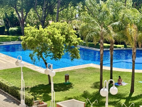 Garden, Swimming pool