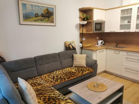 Living room, dishwasher, microwave, oven, kitchen