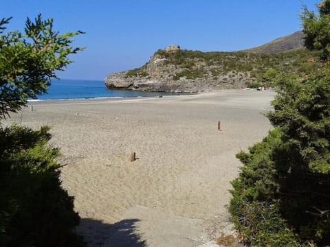 Nearby landmark, Beach