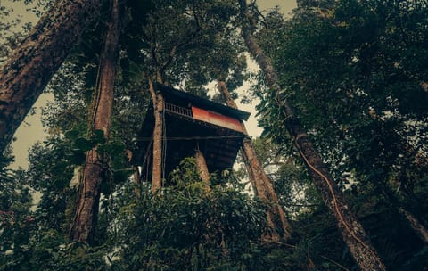 Property building, Natural landscape