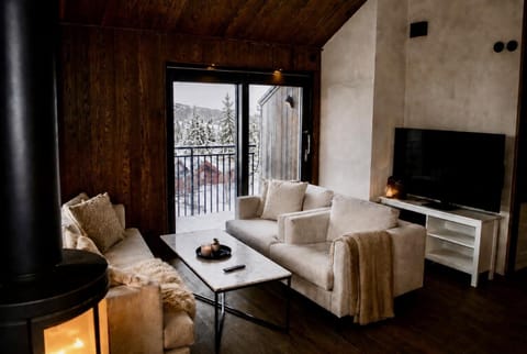TV and multimedia, Balcony/Terrace, Living room, fireplace