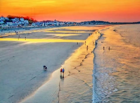 Beach, Sea view, Sunset