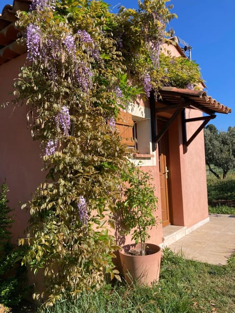 Property building, Spring, Day, Garden, Garden view