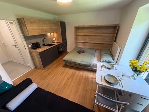Bed, Kitchen or kitchenette, Living room, Photo of the whole room, Seating area, Dining area, Bedroom