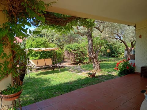 Day, Natural landscape, Garden, Garden view