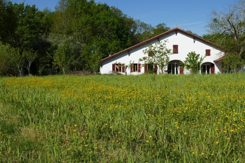 Property building, Natural landscape