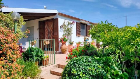 Property building, Day, Garden, Garden view