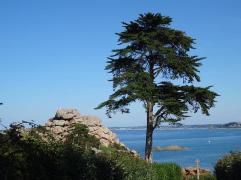 Nearby landmark, Natural landscape