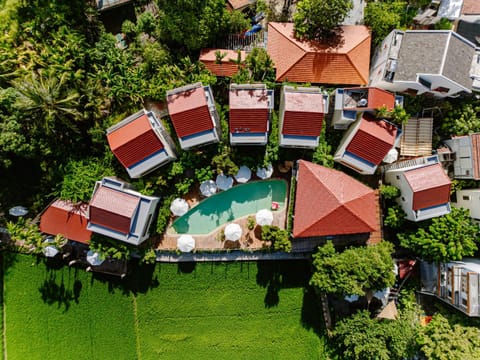 Property building, Day, Natural landscape, Bird's eye view, Pool view, Swimming pool