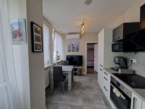 Kitchen or kitchenette, Dining area, oven, stove, toaster, air conditioner