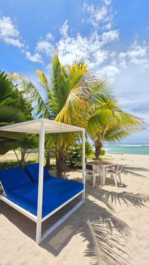Day, Natural landscape, Beach, Sea view, sunbed