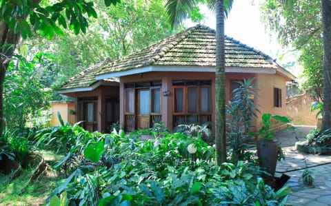 Property building, Garden view