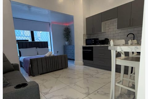 Bed, Kitchen or kitchenette, Photo of the whole room, Decorative detail, Dining area, microwave, stove