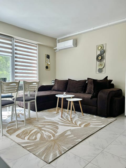 Living room, Seating area, Dining area, air conditioner