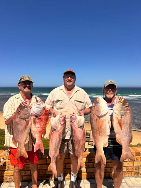 Activities, Sea view, group of guests