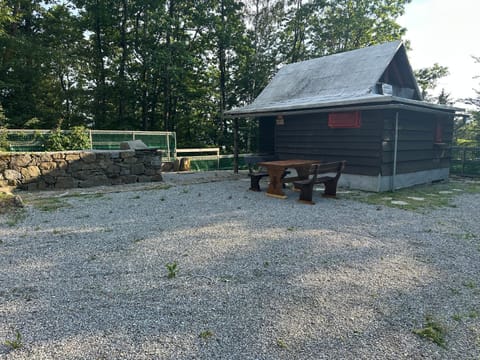 Property building, Day, Garden view