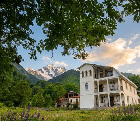 Property building, Spring, Day, Mountain view