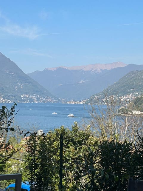 Lake view