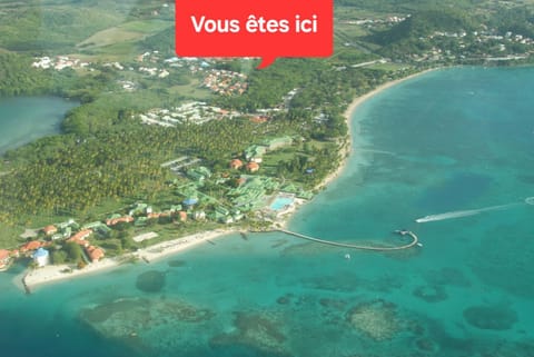 Bird's eye view, Beach