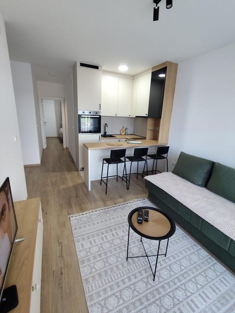 Kitchen or kitchenette, Living room, Seating area, Dining area, oven, stove