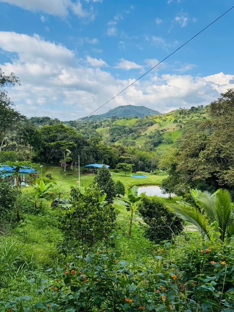Off site, Natural landscape, Mountain view