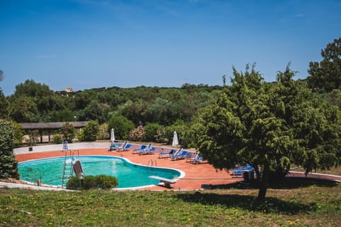 Spring, Day, Natural landscape, Garden, Garden view, Pool view, Swimming pool, sunbed
