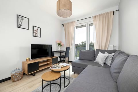 TV and multimedia, Living room, Seating area, Evening entertainment