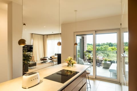 Kitchen or kitchenette, kitchen