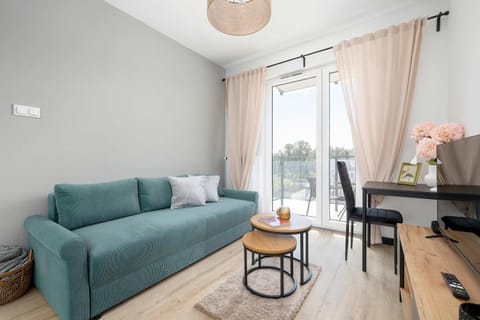 Living room, Photo of the whole room, Seating area, pet friendly