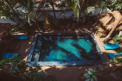 Garden, Swimming pool, Swimming pool
