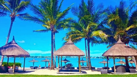Beach, Beach, Area and facilities