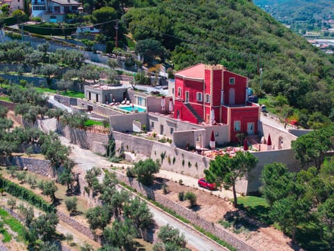 Bird's eye view, Location