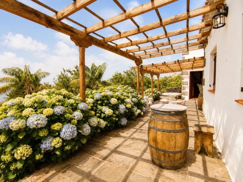 Day, Garden