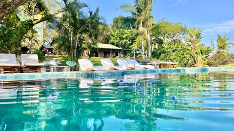 Spring, Day, Garden view, Pool view, Swimming pool, Swimming pool, sunbed