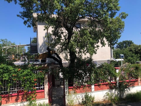 Property building, Day