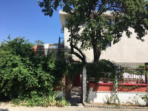 Property building, Day, Garden