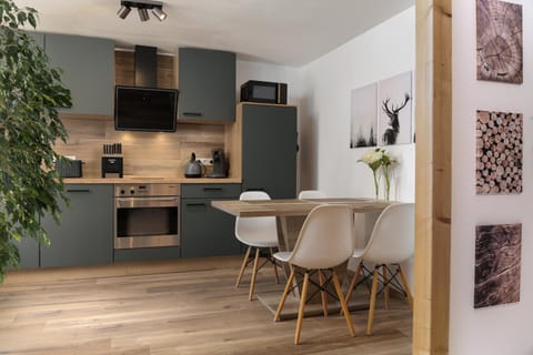 Kitchen or kitchenette, Dining area, stove