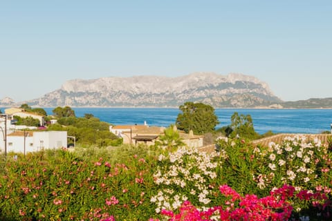 Nearby landmark, Spring, Day, Natural landscape, Lake view, Mountain view, River view, Sea view